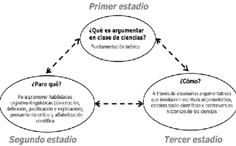 Figura 2. Estadios para la formación de profesores que promuevan la argumentación 