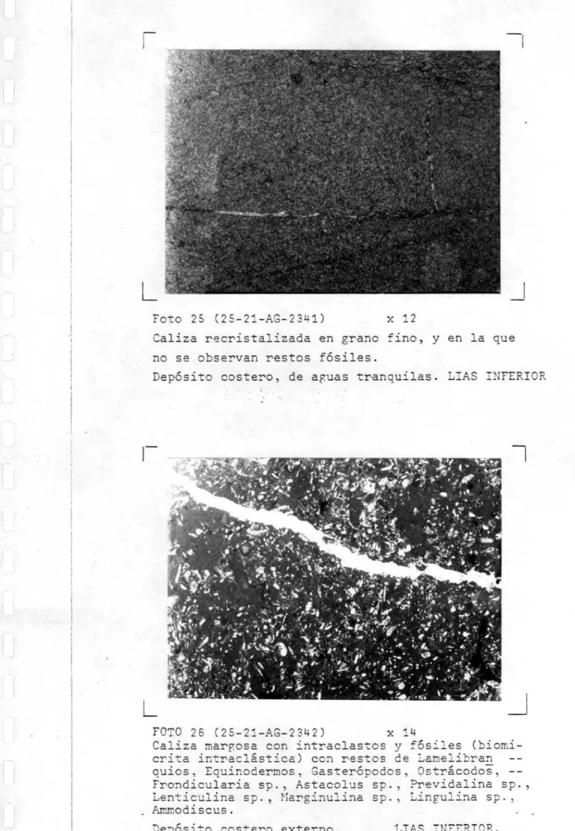 Foto 2 5 2 2 -AS- - 2 3 1 x