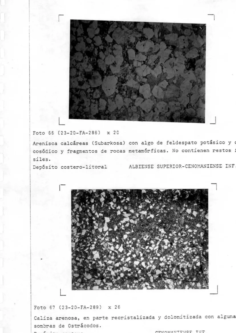 Foto 66 (213-23-FA-286) x ZI-C