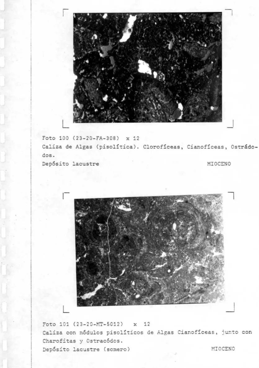 Foto 133 (23-20-FA-308) x 12 C a _^ ` z,= d e t.. lFa s ( p sc as . dos. D e pp s z, _a c_u, s r e S