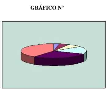 GRÁFICO N° 
