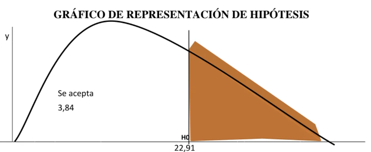 GRÁFICO Nº 24 