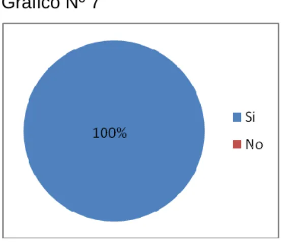 Gráfico Nº 7 