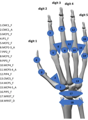 Fig. 6  Example of label assignment. Each line corresponds to each joint measured (18 joints) for one subject  during the performance of activity #5