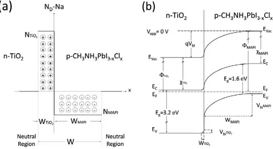 Figure  5.1:  MAPI  based  solar  cells  (a)  abrupt junction  charge  density  profile 69,71,77,78   and  (b)  energy band diagram