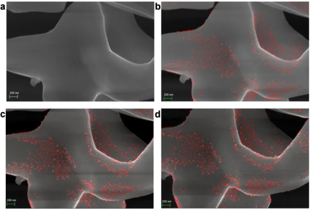 Figure 3: Time-resolved FE-SEM images of Ag 2 MoO 4.