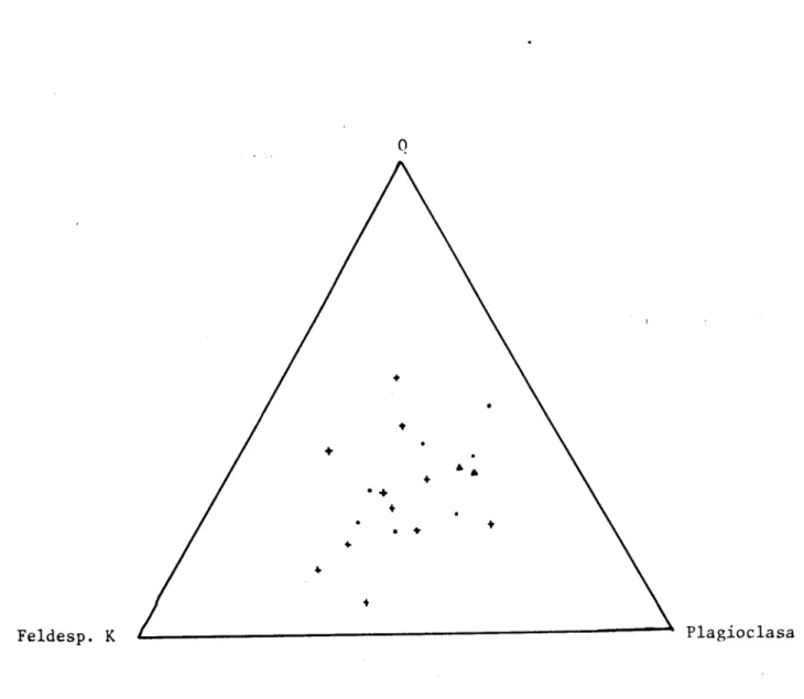 Fig. 1.-Representación modal de las diferentes rocas graníticas del