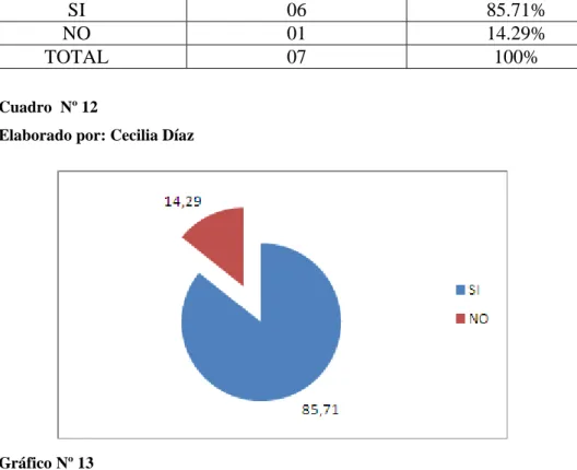 Gráfico Nº 13 