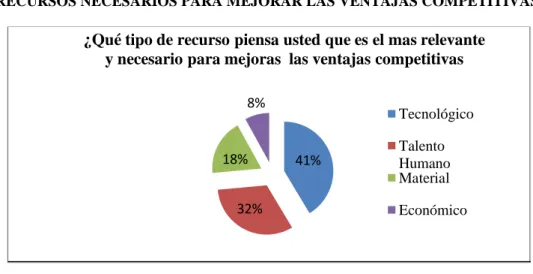 GRÁFICO N°17 