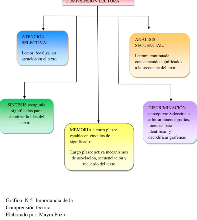 Gráfico  N 5  Importancia de la   Comprensión lectora 