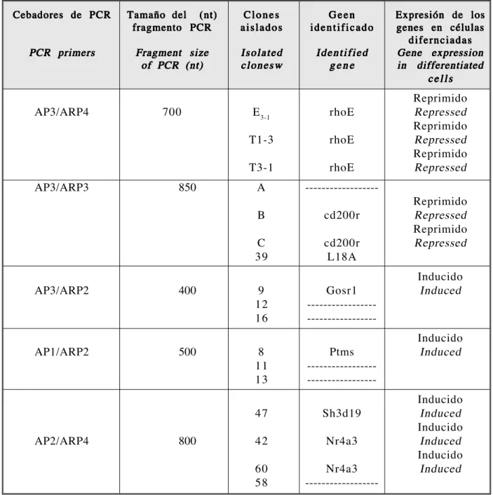 TABLE 1. Results obtained from the amplification of differentially expressed genes in proliferative and differentiated states, in epithelial cells of rat intestine.