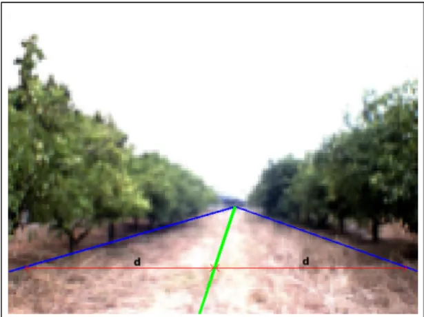 Figure 8. Example image with the representative lines (borders and path).