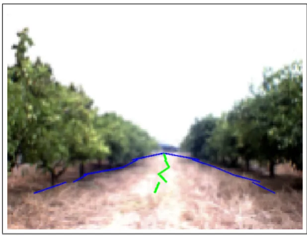 Figure 11. Example image with the representative borders for all the subareas.