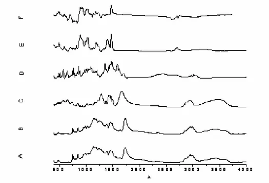 FIG. 1: ATR FTIR Graphs: A: Eudragit RS 100; B: Eudragit RL 100; C: PVP; D: CPM; E: RS  100 Matrix patch; Figure: RL 100 Matrix patch 