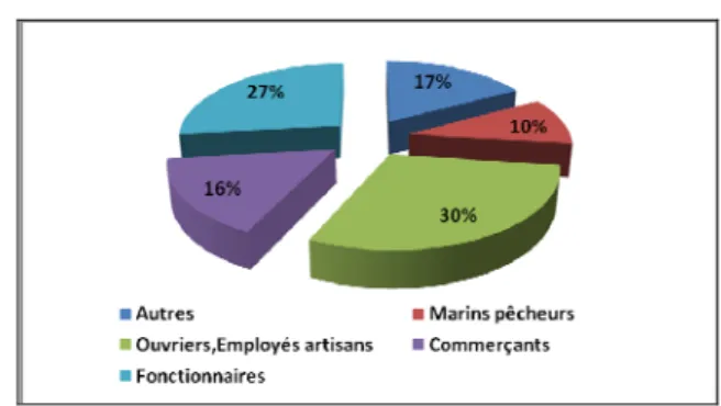 Figure 17: Structure de l'emploi (source PSM 2003)  6.4.  LES ACTIONS ANTHROPIQUES ET LEUR 