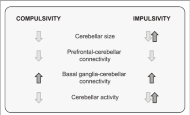 FIGURE 3 | A summary of structural and functional cerebellar findings in compulsivity and impulsivity.
