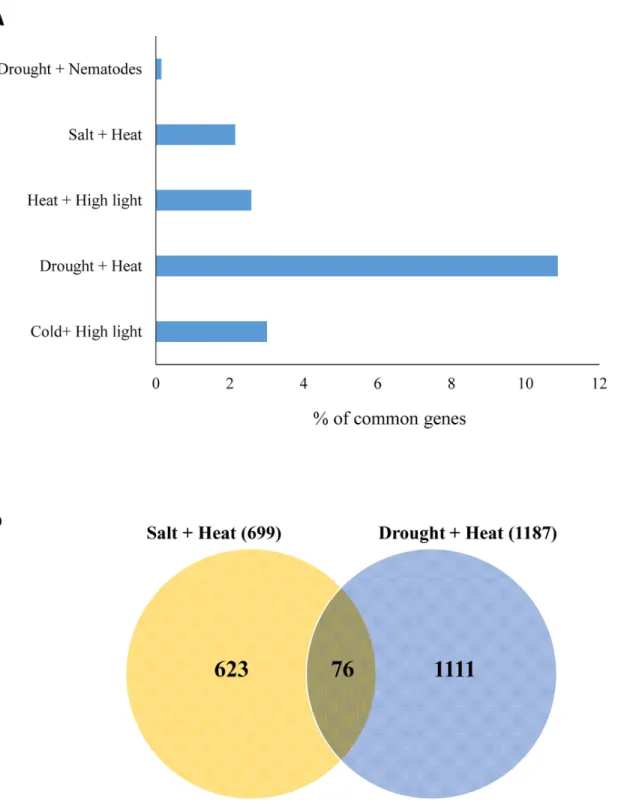 Fig 7. Specificity of stress combination-specific transcripts. (A) Overlap between transcripts specifically and significantly up-regulated in response to a combination of salt and heat stress, and transcripts specifically and significantly up-regulated in 