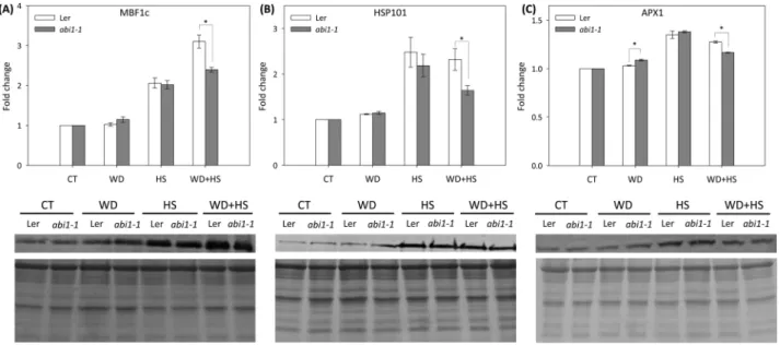Fig. 7.  Meta-analysis of transcriptomics data from ABA-treated abi1-1 and wild-type (Ler) plants, and wild-type (Col) plants subjected to a combination  of water deficit and heat stress