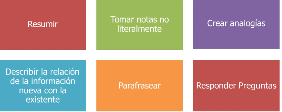 Gráfico 6: Estrategia de Elaboración 