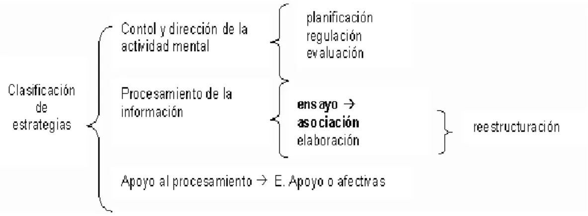 Gráfico 10: Tipos de estrategias 