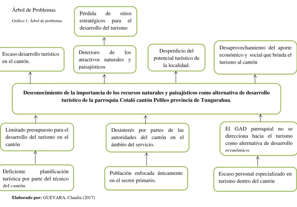 Gráfico 1: Árbol de problemas