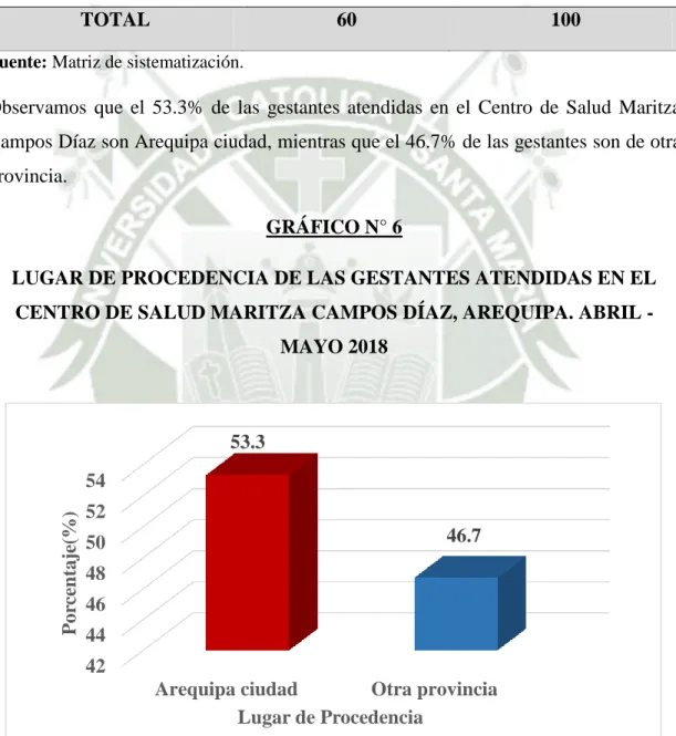 GRÁFICO N° 6 