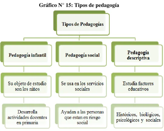 Gráfico N° 15: Tipos de pedagogía 