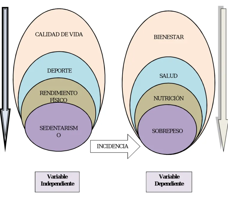 Gráfico N° 2 Categorías fundamentales 