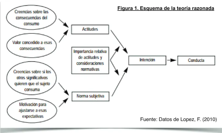 Figura 1. Esquema de la teoría razonada