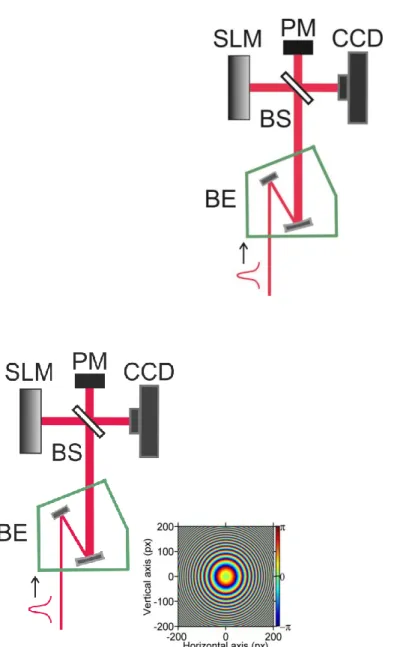 Figure 1. Schematic of the optical setup. In the inset, phase transmission function encoded in the  central 400 × 400 pixels of the SLM corresponding to a DL