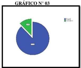 GRÁFICO N° 03 