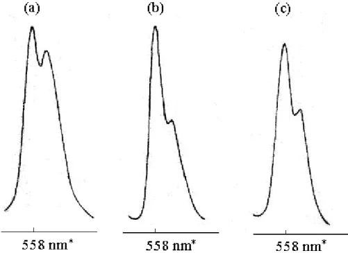 FIGURE 1.  λemission peaks of doxorubicin in extracts of (a) plasma, (b) whole blood and (c) tissues of rat at  λexcitation 480 nm.