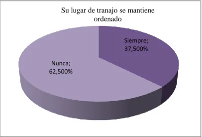 Gráfico Nº 10 