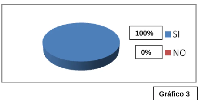 Gráfico 3 100% 