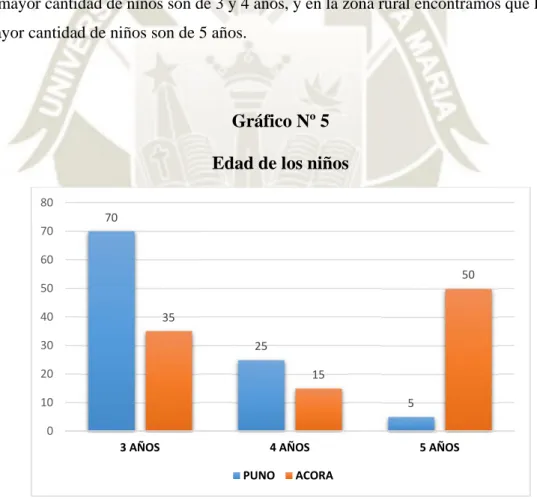 Gráfico Nº 5 