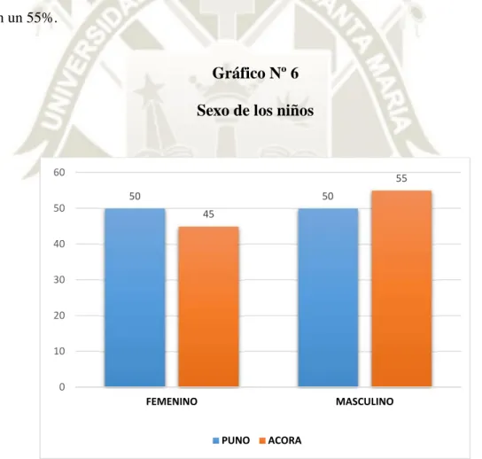 Gráfico Nº 6 