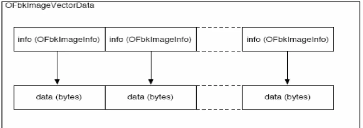 Figure 6. OFbkImageVectorData structure 