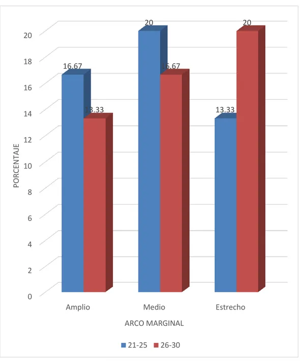 GRÁFICO Nº 1 