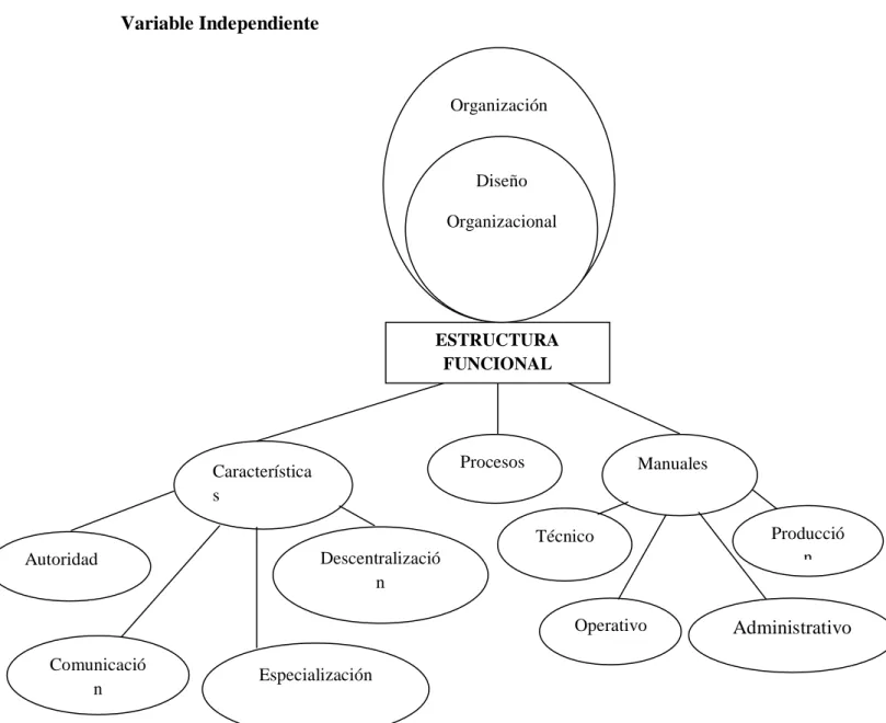 GRÁFICO Nº 1  ESTRUCTURA FUNCIONAL   