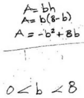 Figura 12. Expresión verbal y algebraica de la generalización (profesor C)  Un aspecto esencial en la formulación de la generalización fue extender el patrón  de  los  casos  particulares  observados,  al  conjunto  global  de  rectángulos  de  la  familia