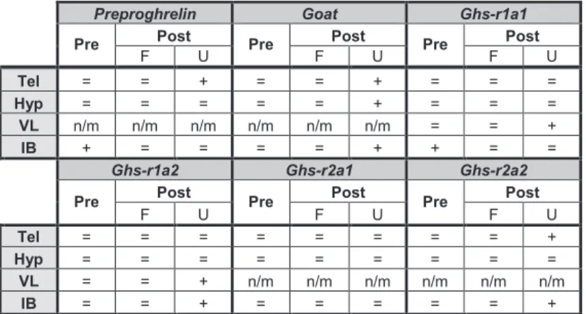 Table 1. Summary of the periprandial changes in preproghrelin, goat, ghs-r1a1, ghs-r1a2, ghs- ghs-r2a1  and  ghs-r2a2 mRNA expression in telencephalon (Tel), hypothalamus (Hyp), vagal lobe  (VL) and intestinal bulb (IB) of goldfish