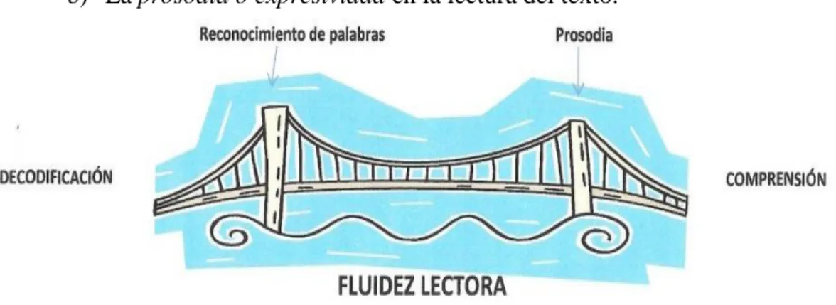 Figura 1: Puente entre la decodificación y la comprensión. 