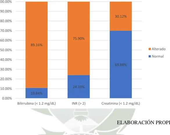 Gráfico 4 