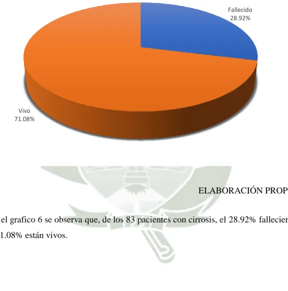 Gráfico 6 