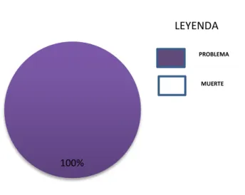 GRÁFICO  Nº 5  