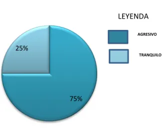 GRÁFICO  Nº 6 