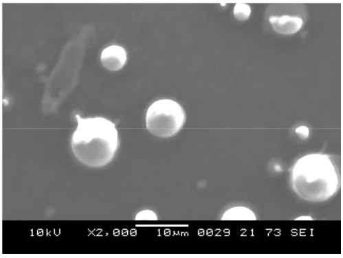 FIGURE 6.  SEM of formulation F7 