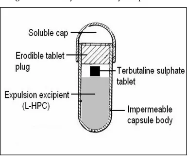 Figure 1: Assembly of timed delayed capsule device 