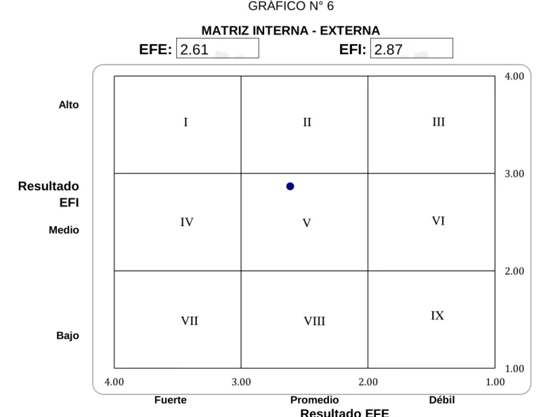 GRÁFICO N° 6 