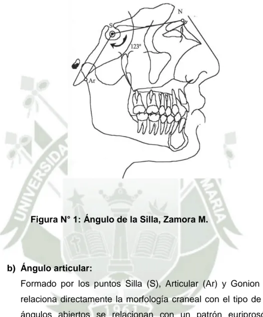 Figura N° 1: Ángulo de la Silla, Zamora M. 